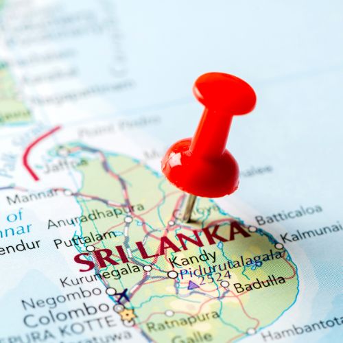 Strategic Employment Solutions for Sri Lankan Talent